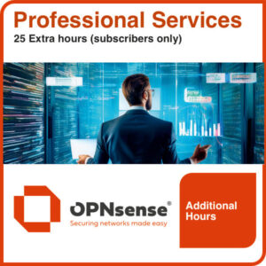 25 Hours Extra Professional Services (Subscribers only)